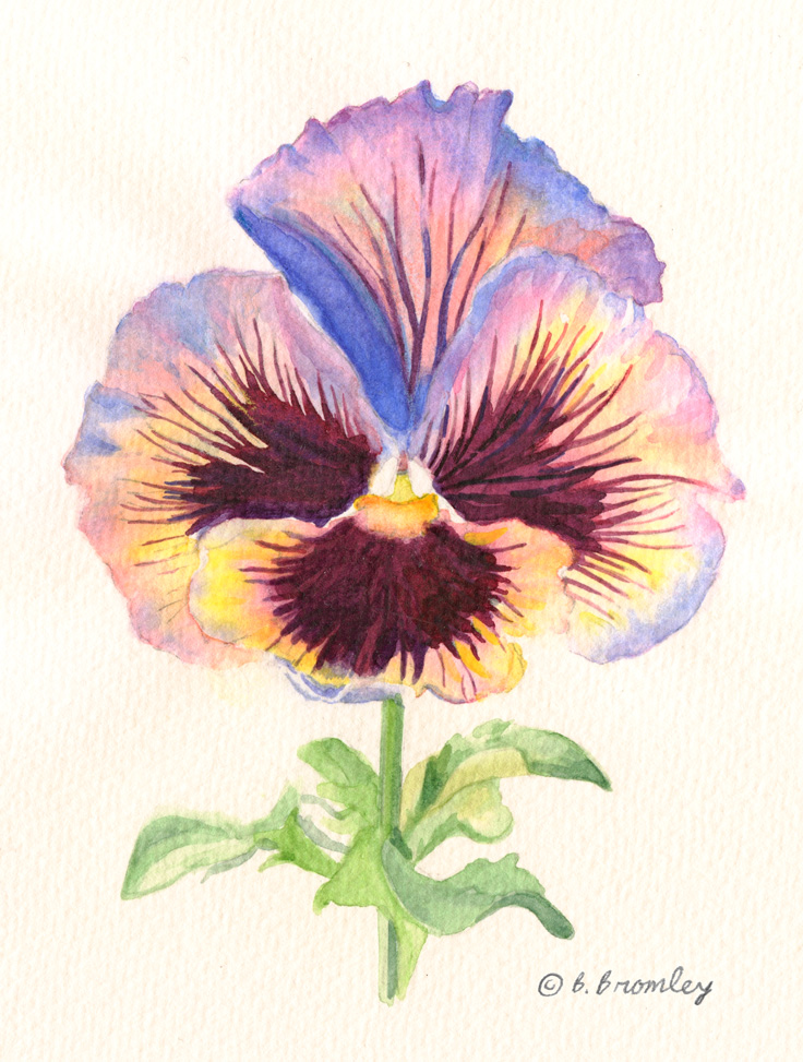 736x973 Mini Lesson Watercolor Pansy Artful Passages - Pansy Painting