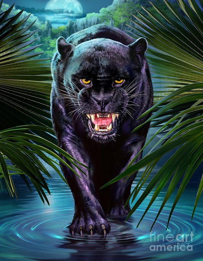 699x900 Panther Painting Black Panther, Tattoo - Panther Painting