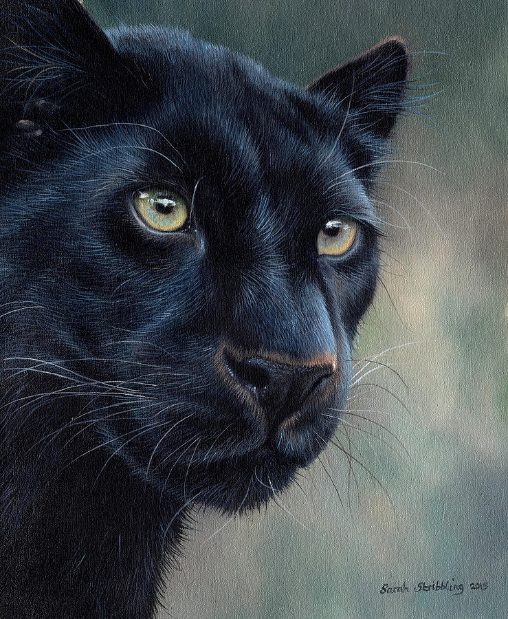 739x900 Black Panther Painting By Sarah Stribbling - Panther Painting