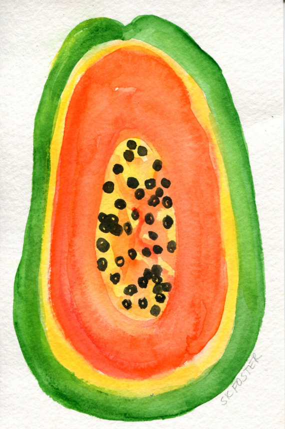 570x857 Papaya Watercolor Painting Original Fruit Original Watercolor - Papaya Painting