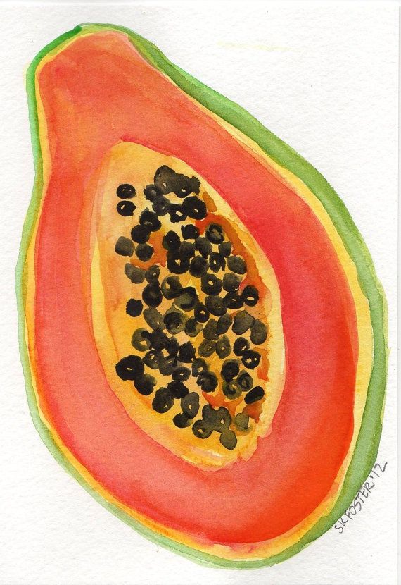 570x830 Papaya Painting, Original Watercolor Painting Fruit Series, Great - Papaya Painting