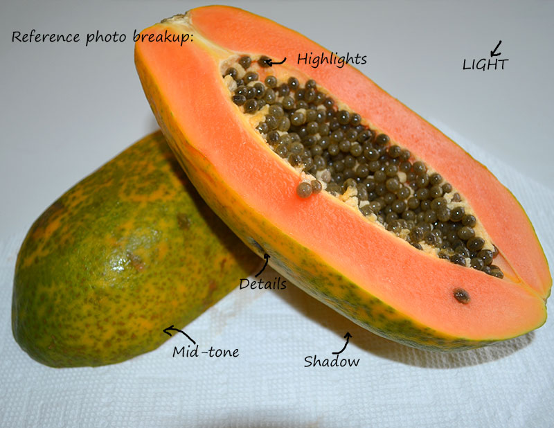 800x618 Swati Singh Art Blog - Papaya Painting