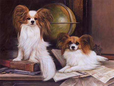 464x350 Original Papillon Painting - Papillon Painting