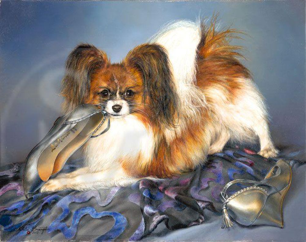 1000x791 Papillon Painting. Dog Painting By Natalia Brampton - Papillon Painting