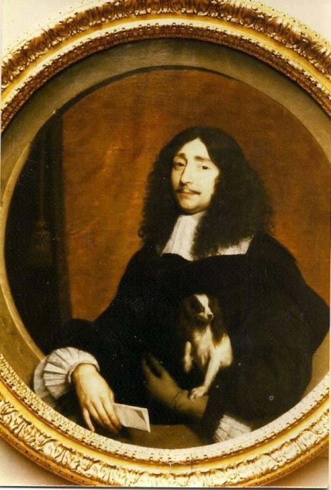 648x960 The 60 Best Papillons Images On Butterflies, Papillon - Papillon Painting