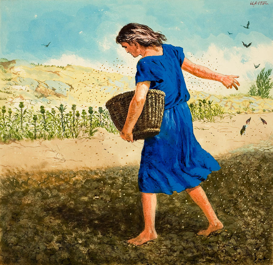 900x872 The Sower Of The Seed Painting By Clive Uptton - Parable Of The Sower Painting