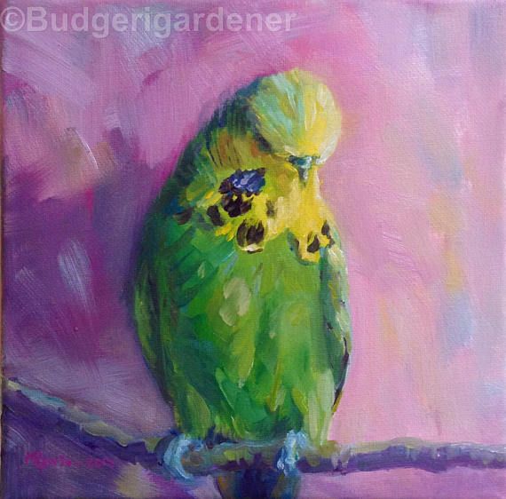 Parakeet Painting at PaintingValley.com | Explore collection of ...