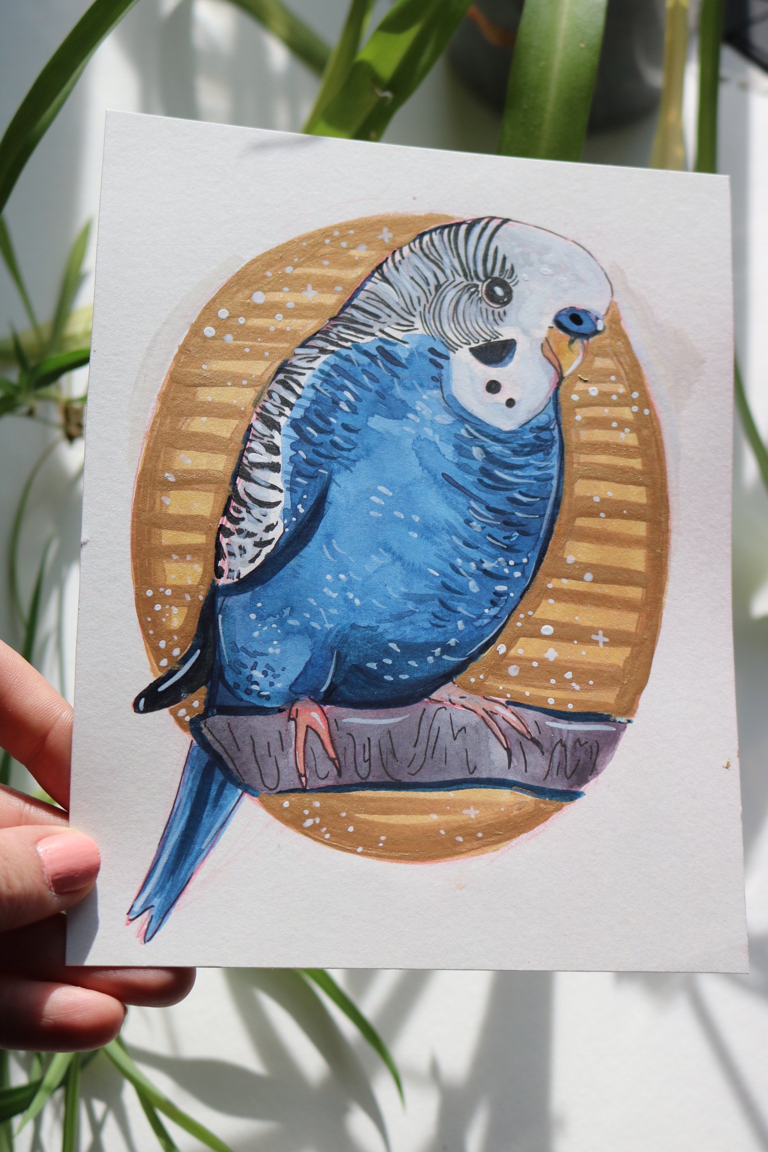 1536x2304 Parakeet Painting Original Opyrose Tictail - Parakeet Painting