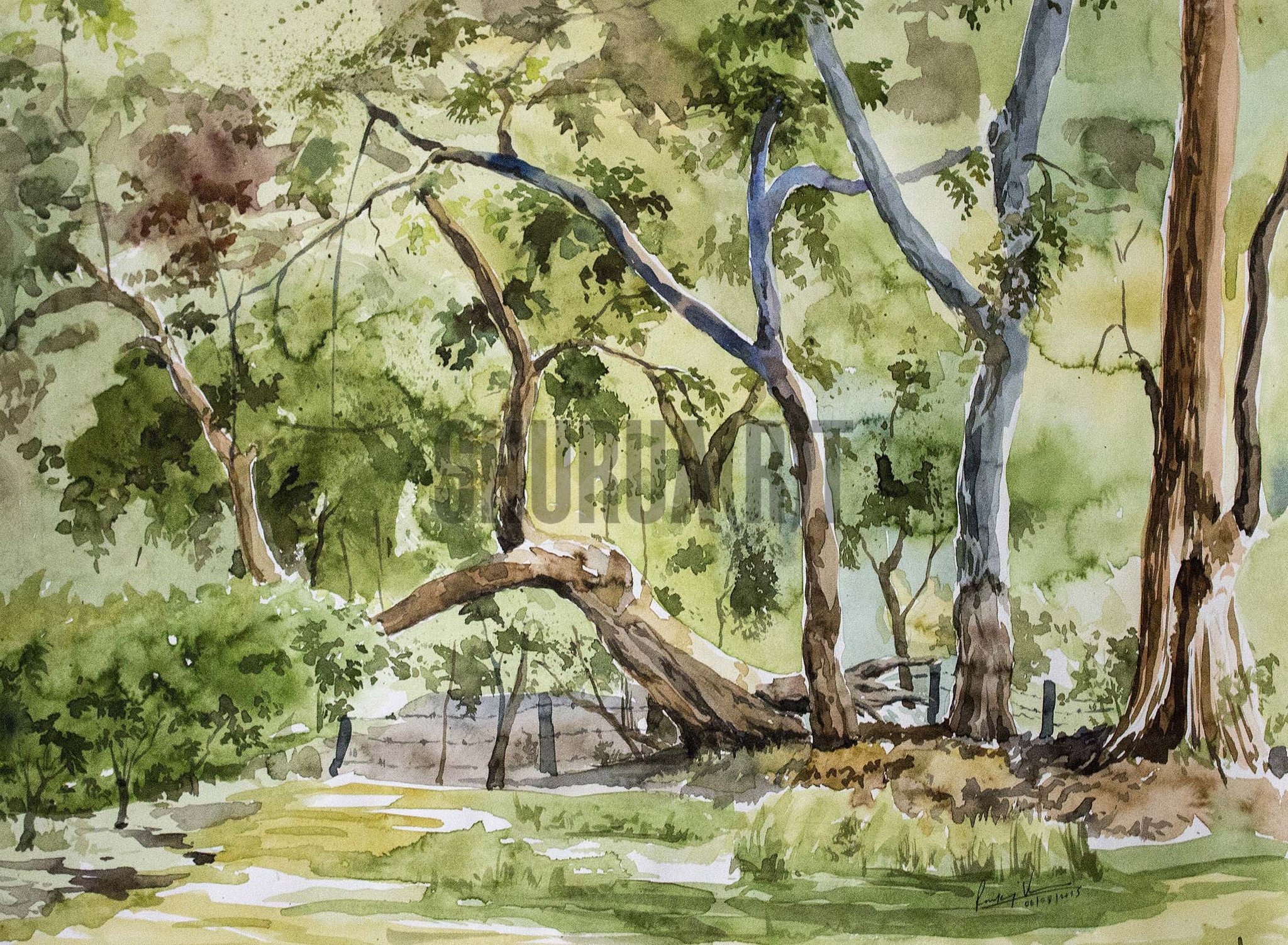 2048x1502 Painting Of A Park In Banaras Hindu University Shurua(R)t - Park Painting