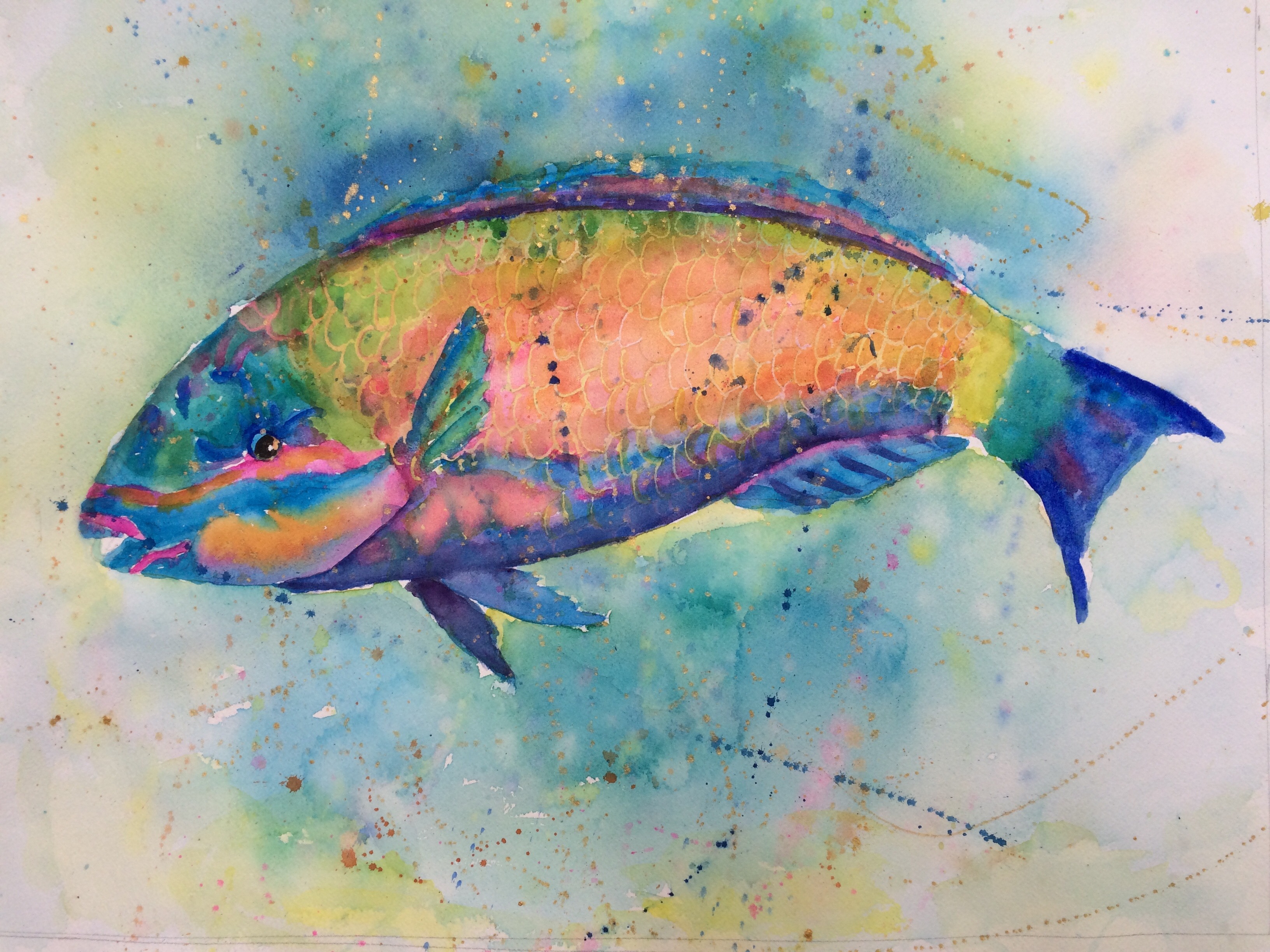 Parrot Fish Painting at PaintingValley.com | Explore collection of ...