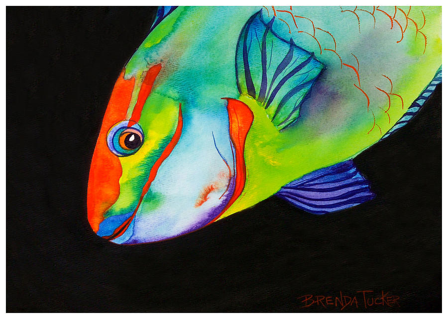 Parrot Fish Painting at PaintingValley.com | Explore collection of ...