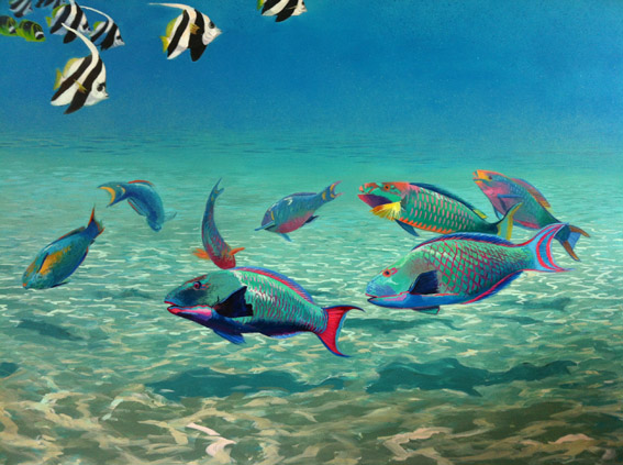 567x423 Janet Shearer Mural Art And Trompe L'Oeil Artist In Cornwall - Parrot Fish Painting