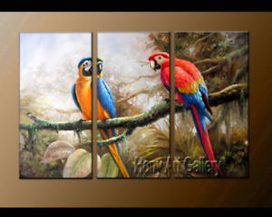 300x240 Framed Large Wall Modern Art Decor Birds Parrot Oil Painting - Parrot Oil Painting