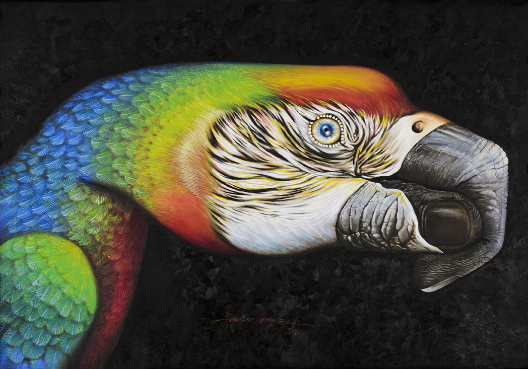 1048x733 Oil Painting - Parrot Oil Painting