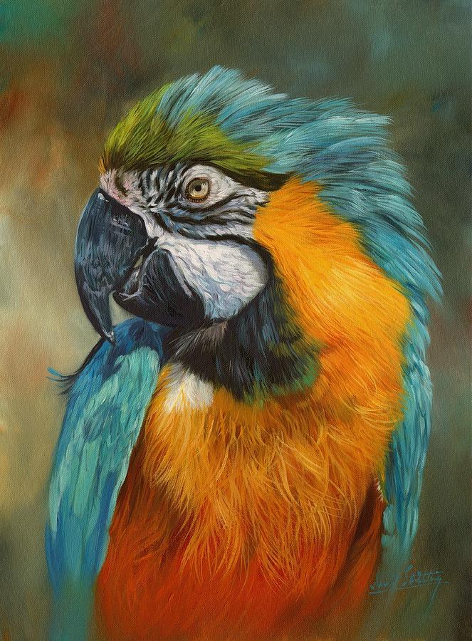 663x900 Macaw Parrot Painting By David Stribbling - Parrot Painting