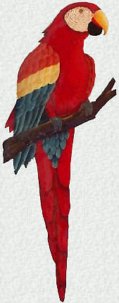 169x431 Painted Metal Parrot Wall Hanging - Parrot Painting