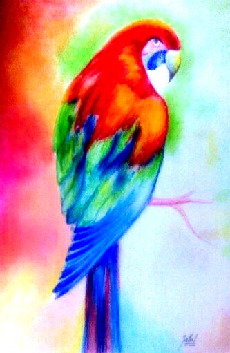 333x511 Painting Of A Colorful Parrot - Parrot Painting