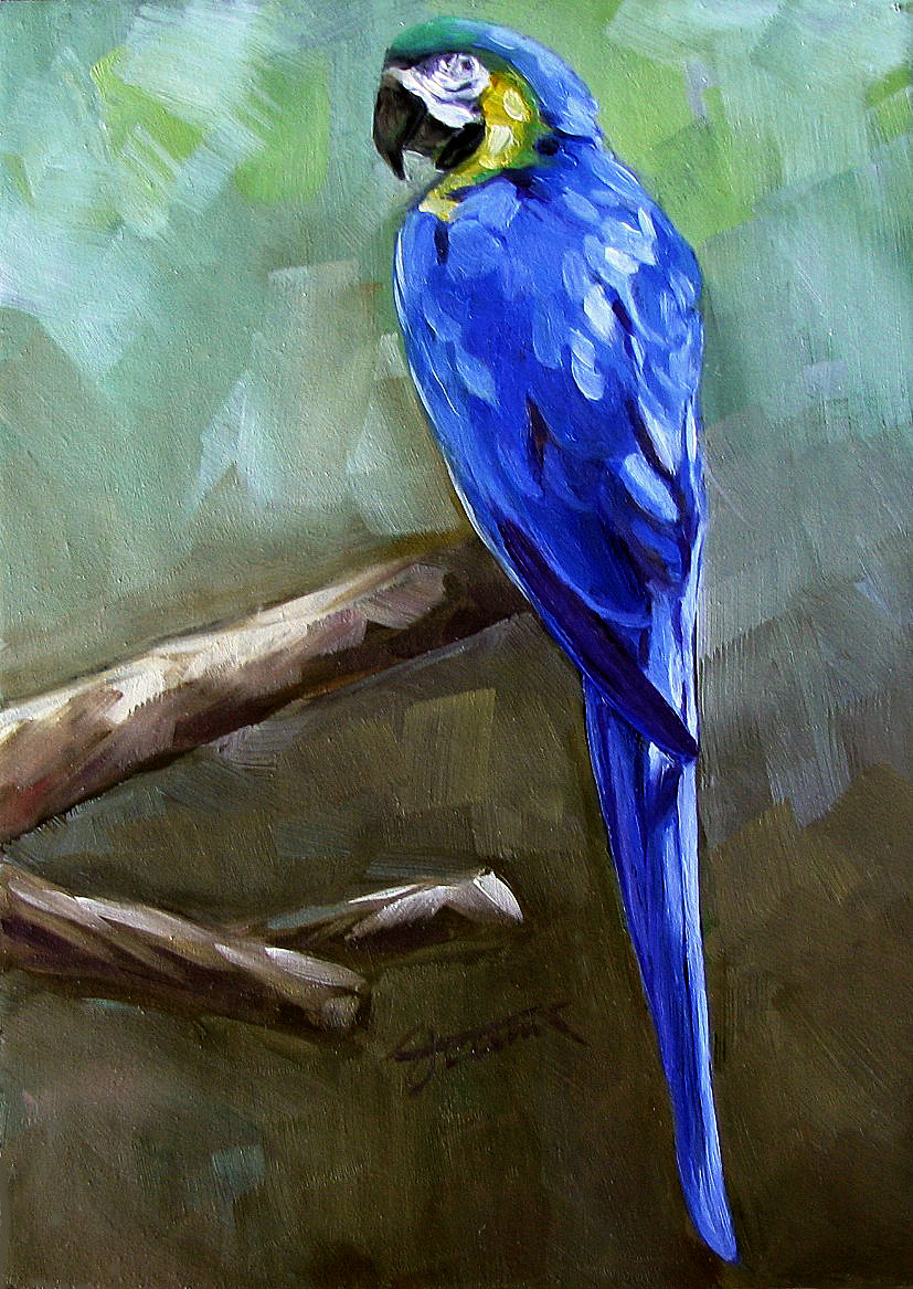 827x1167 A Painting, A Moment Blue Parrot - Parrot Painting