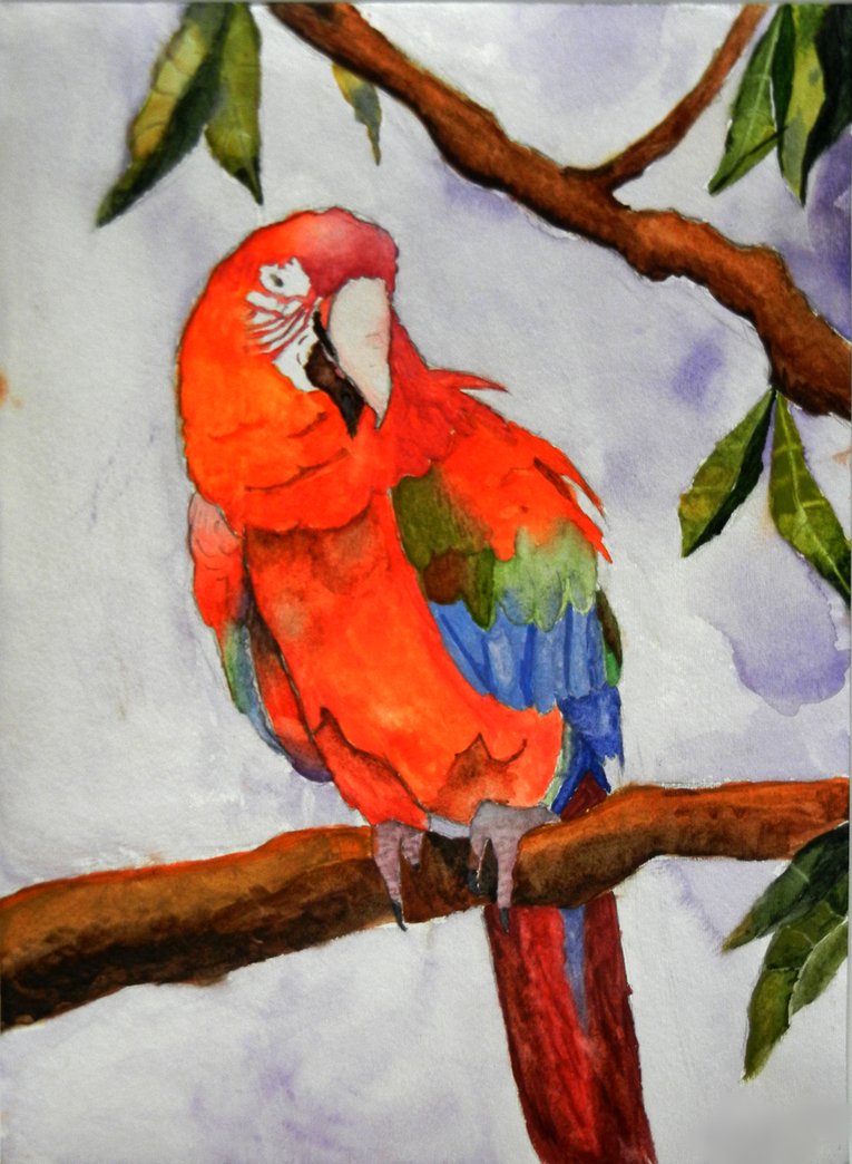 765x1044 Parrot Painting By Puretruth1103 - Parrot Painting