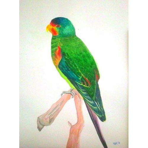 500x500 Parrot Watercolor Painting - Parrot Painting