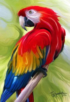 236x342 Perched Parrot Painting - Parrot Painting
