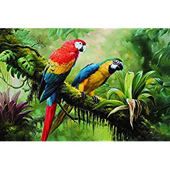 350x350 Parrot Painting Canvas Prints Wall Art Decor Framed - Parrot Painting