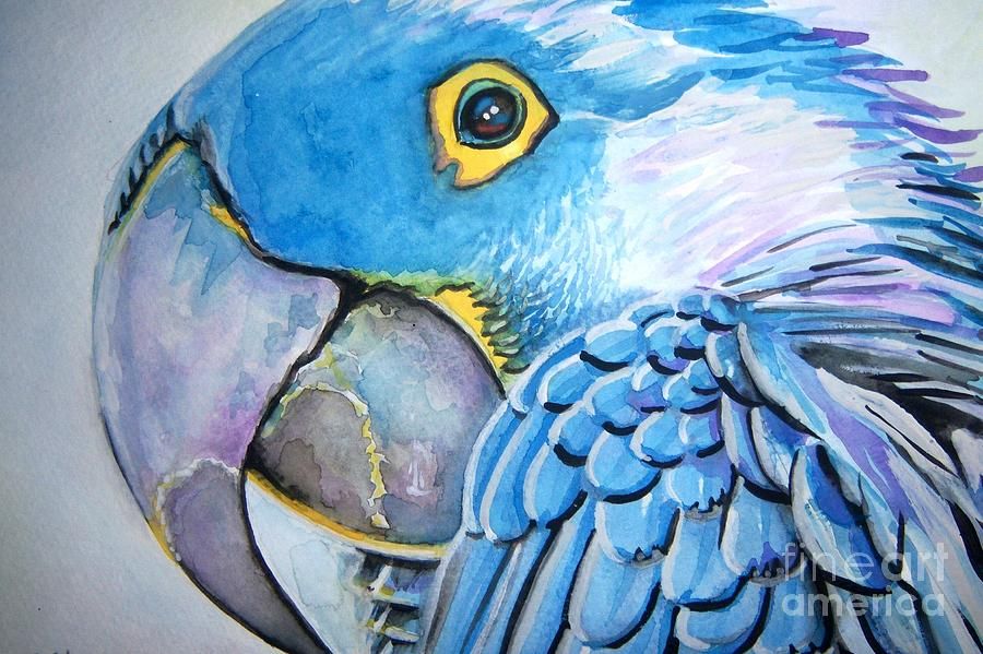 900x599 Parrot Painting - Parrot Painting