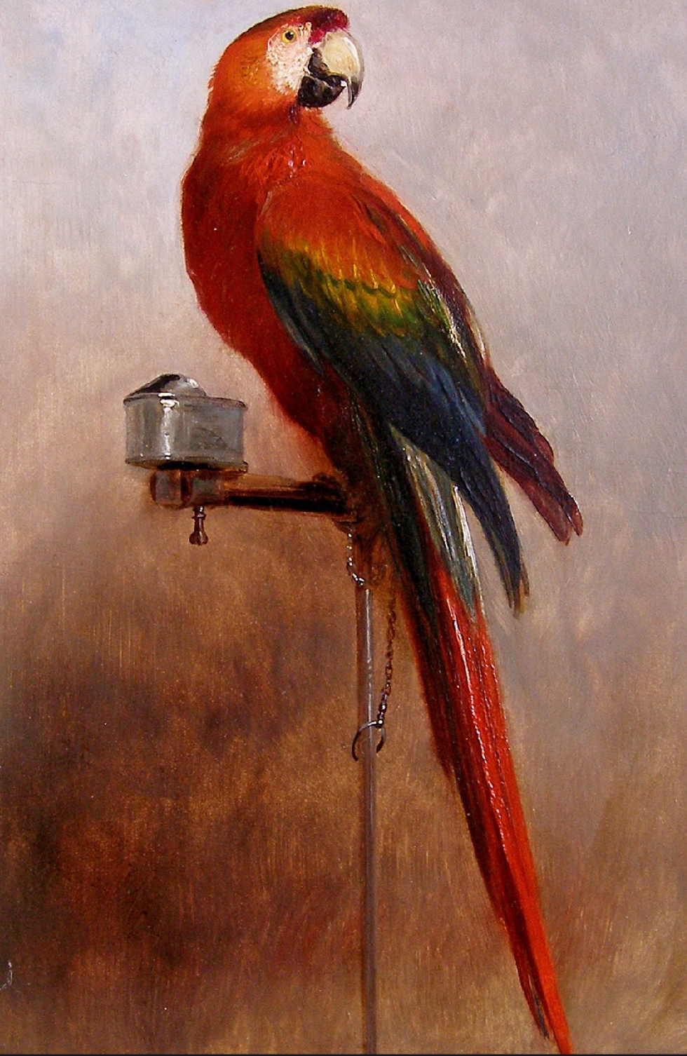 980x1506 The Pet Parrot As Depicted In 18th And 19th Century Art - Parrot Painting Famous