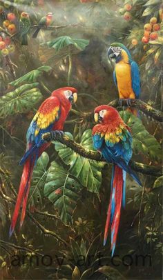 236x406 Paintings Of Parrots - Parrot Painting Famous