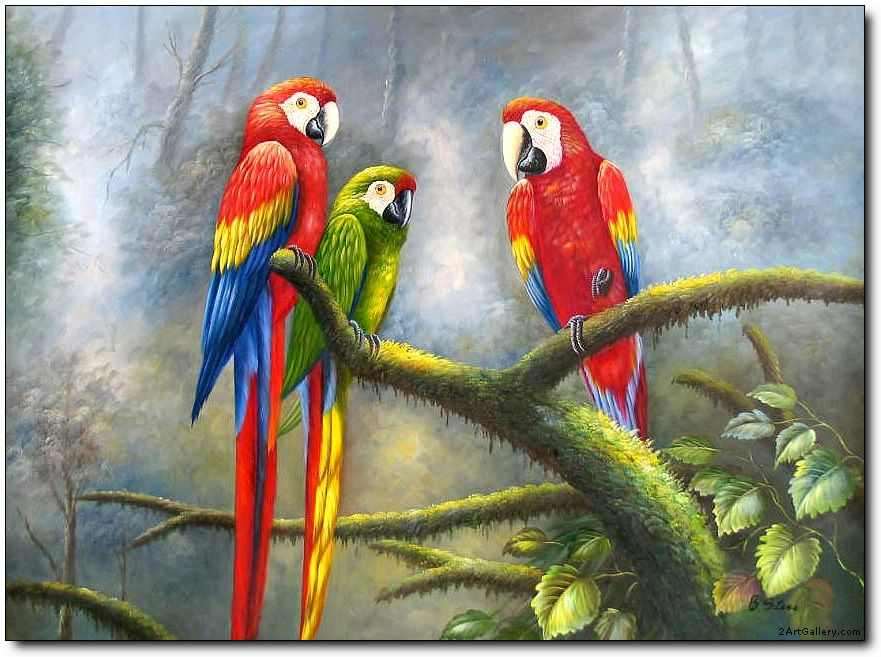 881x657 Parrots Love Parakeet Parakeets 60279 - Parrot Painting Famous
