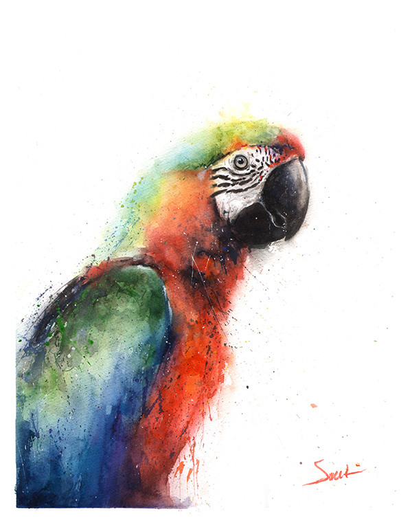 600x764 Macaw Parrot Watercolor Print Watercolor Animal Paintings - Parrot Painting Images