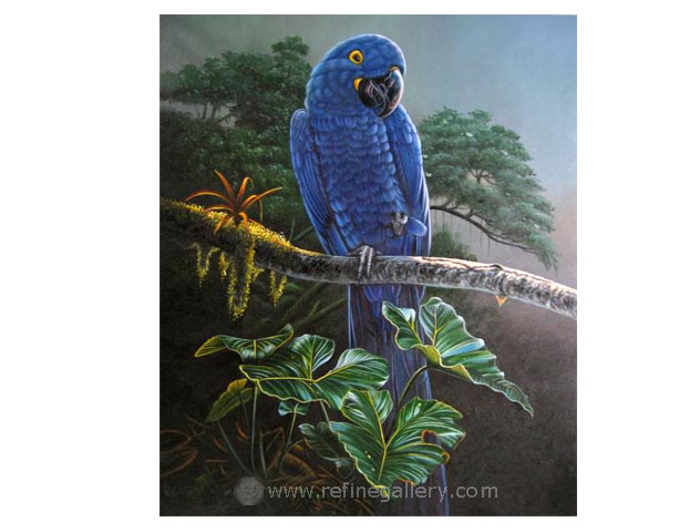 632x480 Parrot Painting Photo Wholesale Pet Portrait Paintings - Parrot Painting Images