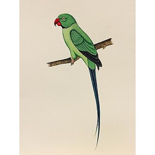 320x320 Buy Miniature Painting On Paper Parrot Painting Online - Parrot Painting Images
