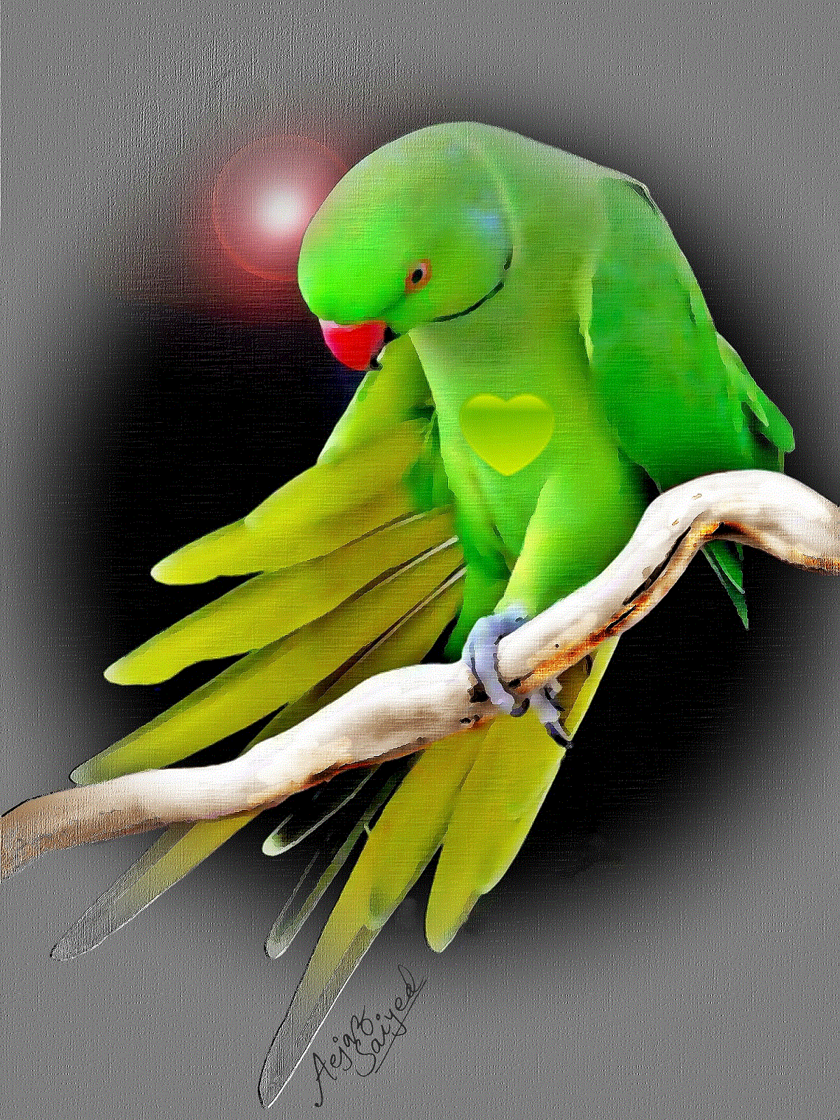 1200x1600 Digital Painting Of Parrot - Parrot Painting Images