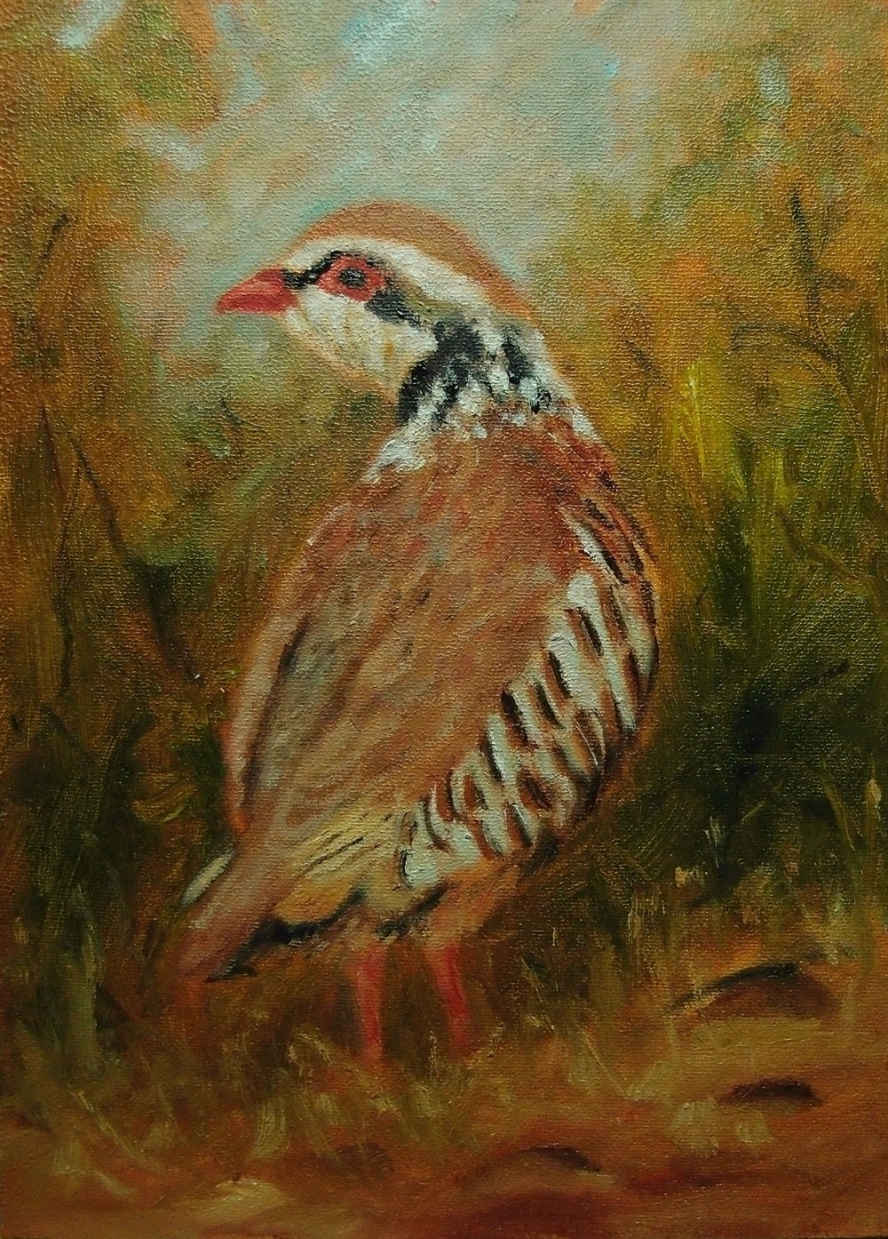 1000x1394 Sketch For Partridge Painting. By John Inkson - Partridge Painting