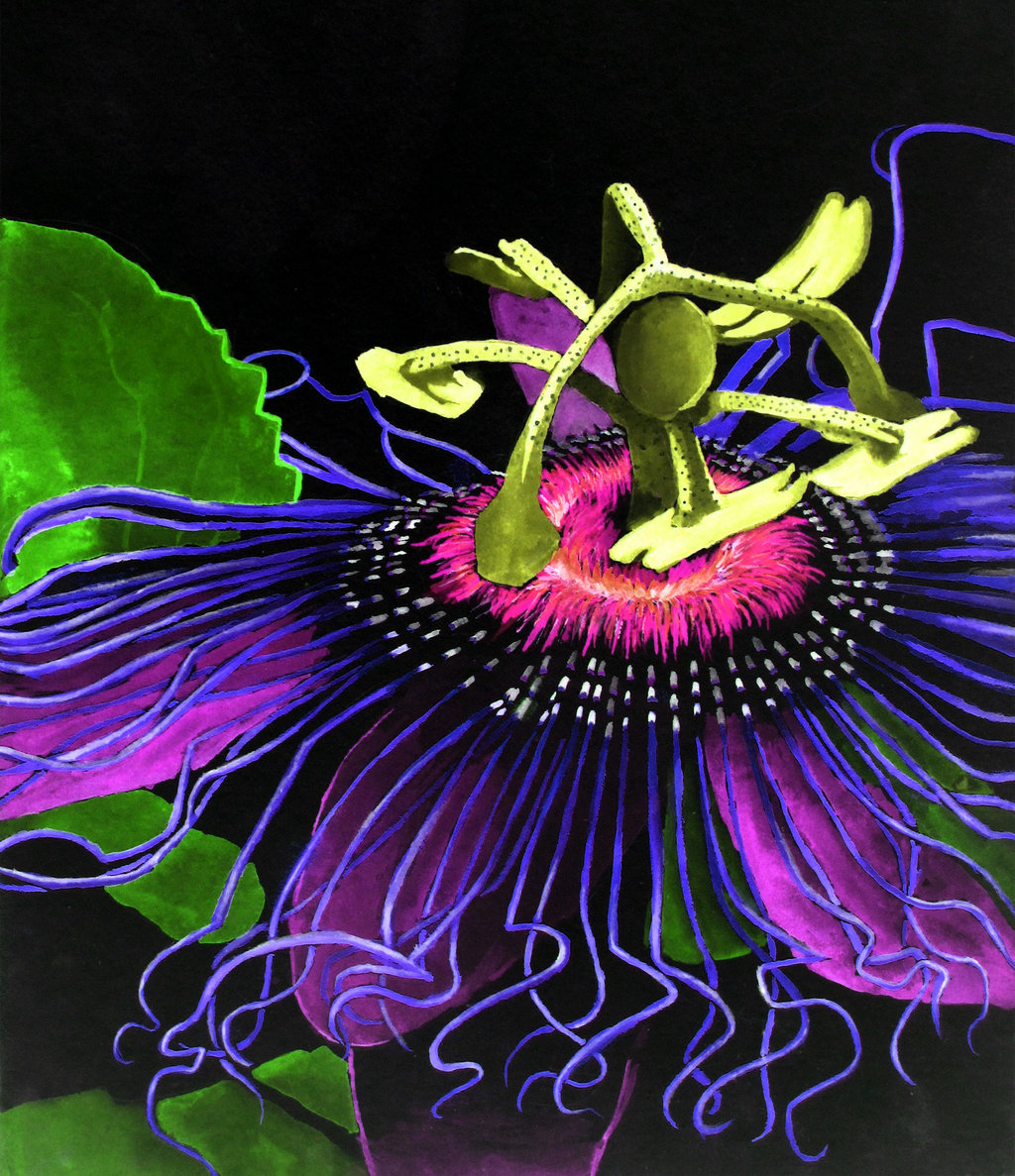 1024x1187 Passion Flower, Negative Final By Fatal Noogie - Passion Flower Painting