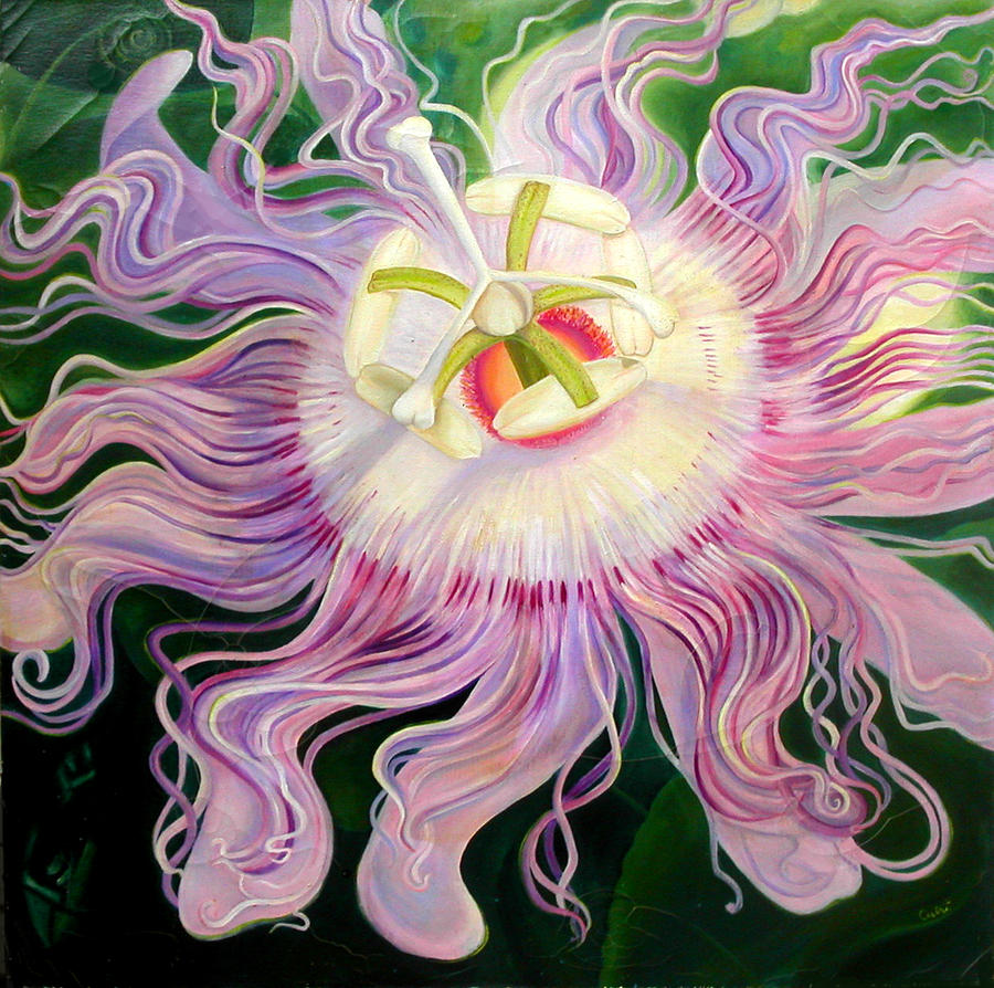 900x894 Passion Flower Painting By Anne Cameron Cutri - Passion Flower Painting