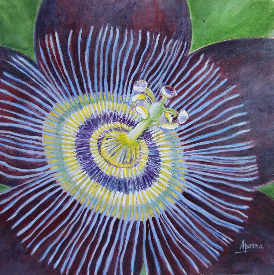 896x900 Passion Flower Painting By Aparna Deshpande - Passion Flower Painting