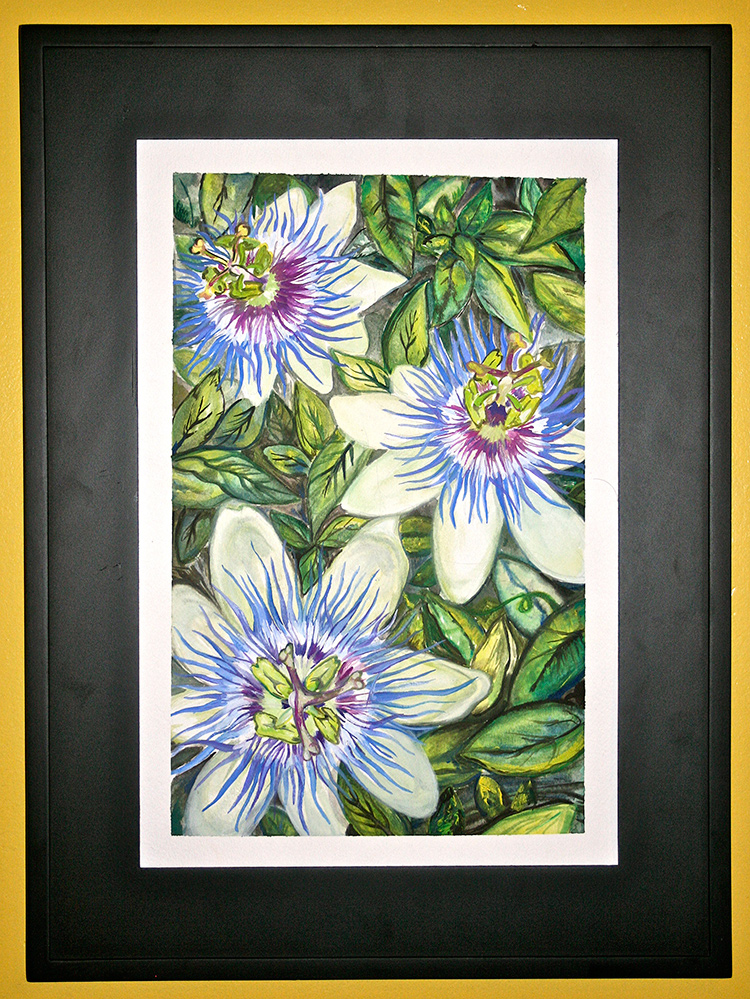 750x999 Passion Fruit Flowers Outer Banks Painting Parties Amp Classes - Passion Flower Painting
