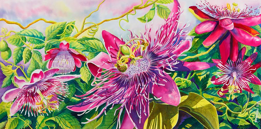 900x447 Passionflower Party Watercolor, Art Flowers And Drawing Ideas - Passion Flower Painting