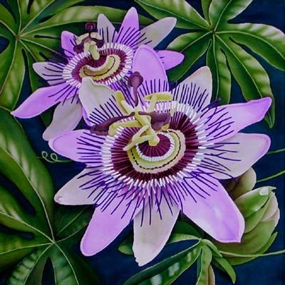 400x400 Silk Painting Passion Flower [ Flowers ] References - Passion Flower Painting