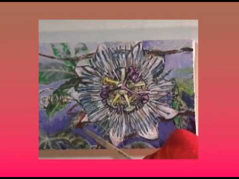 480x360 Time Lapse Painting Of Passion Flower - Passion Flower Painting
