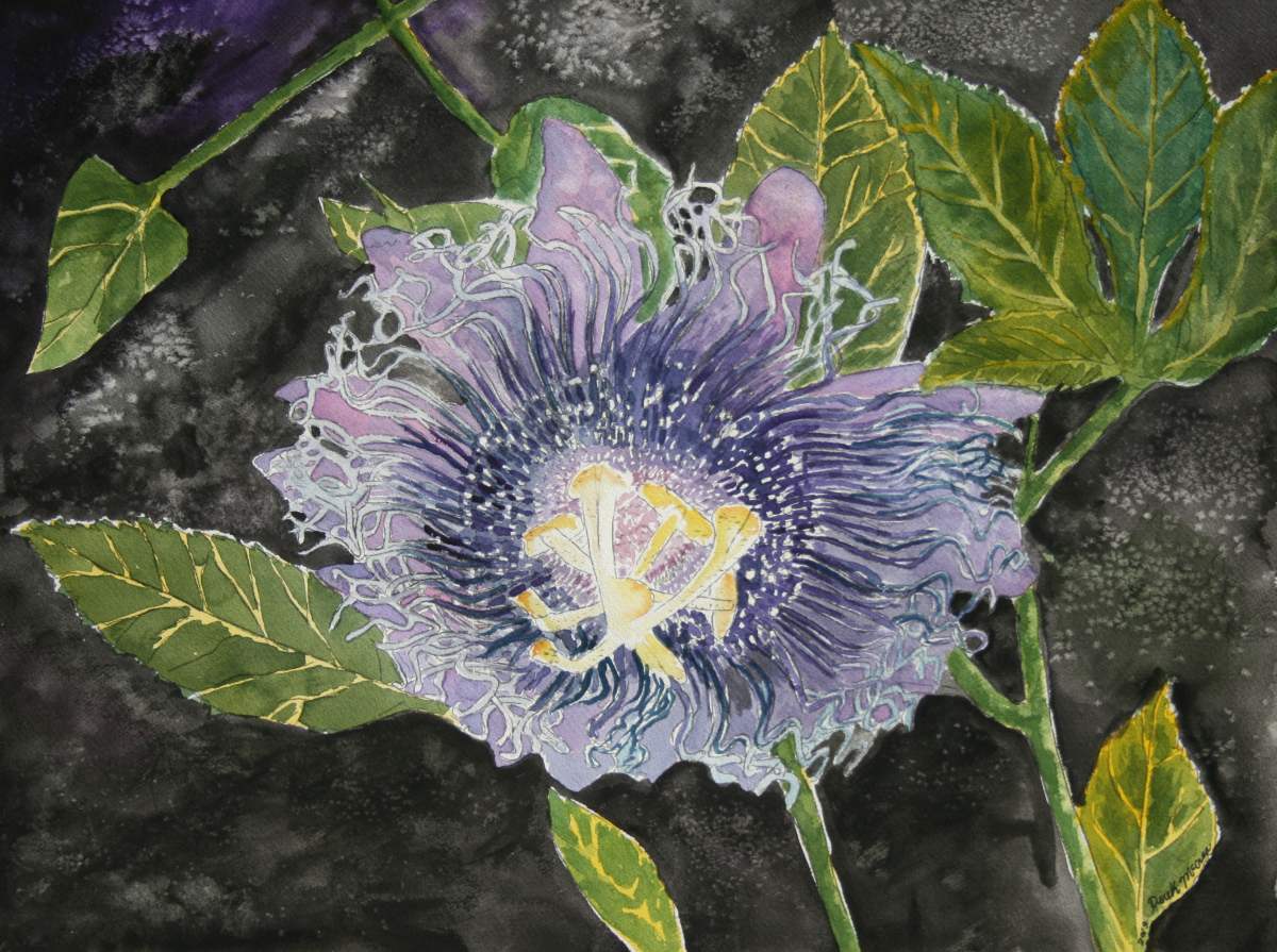 1200x895 Watercolor Paintings - Passion Flower Painting