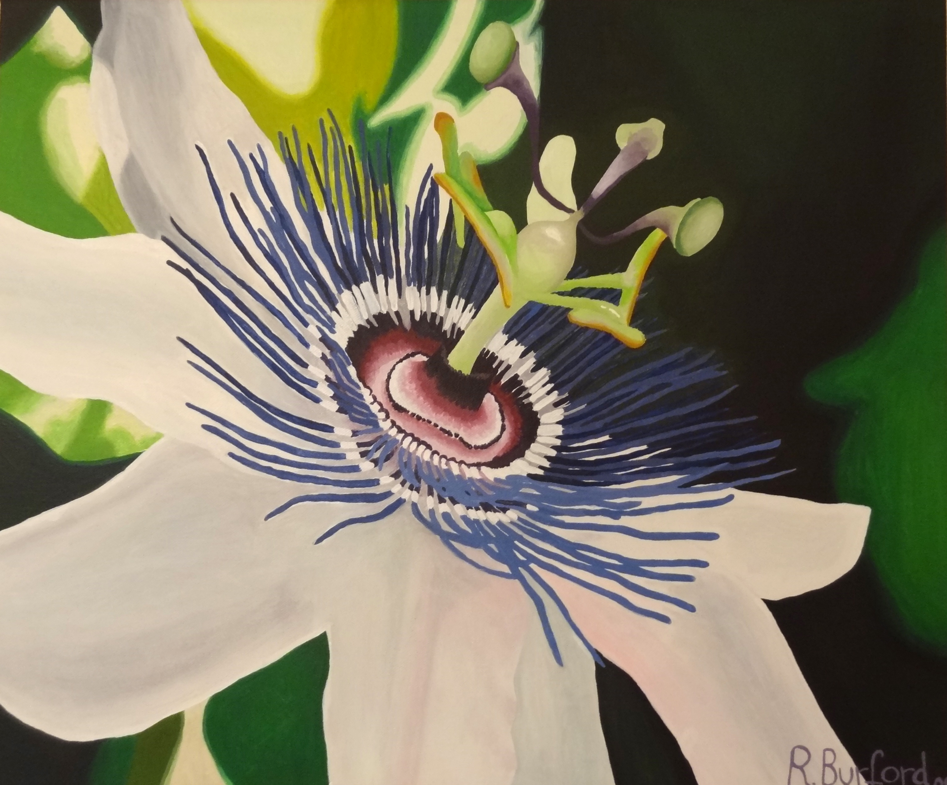 3043x2523 Passion Flower Painting Rosanna Burford - Passion Flower Painting