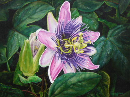450x338 Landis Studio - Passion Flower Painting