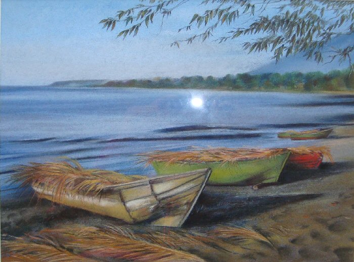 700x519 Pastels An Overview Elise Nimmo Art - Pastel Chalk Painting