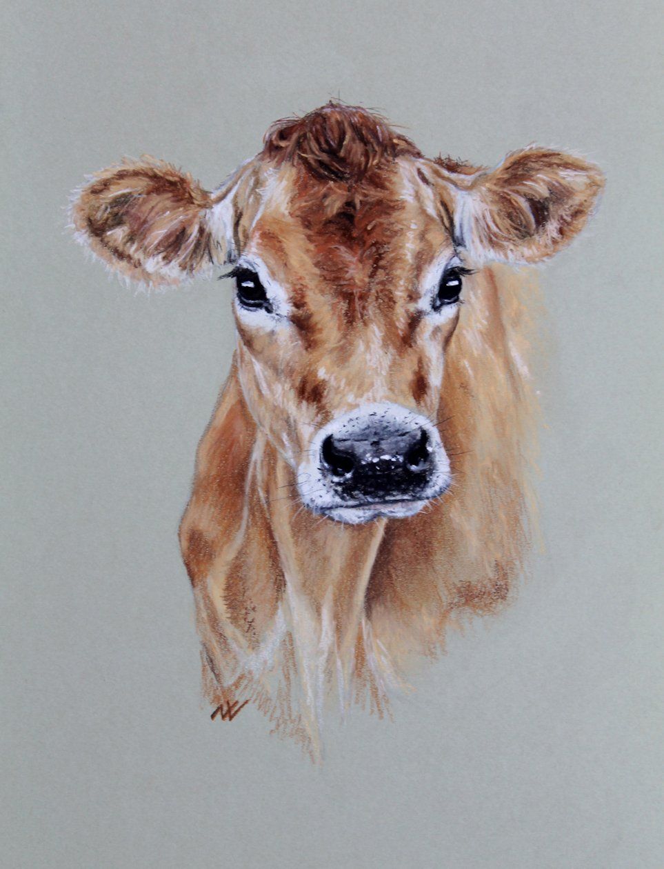 963x1260 Jersey Cow, Original Pastel Portrait Desenho - Pastel Cow Painting