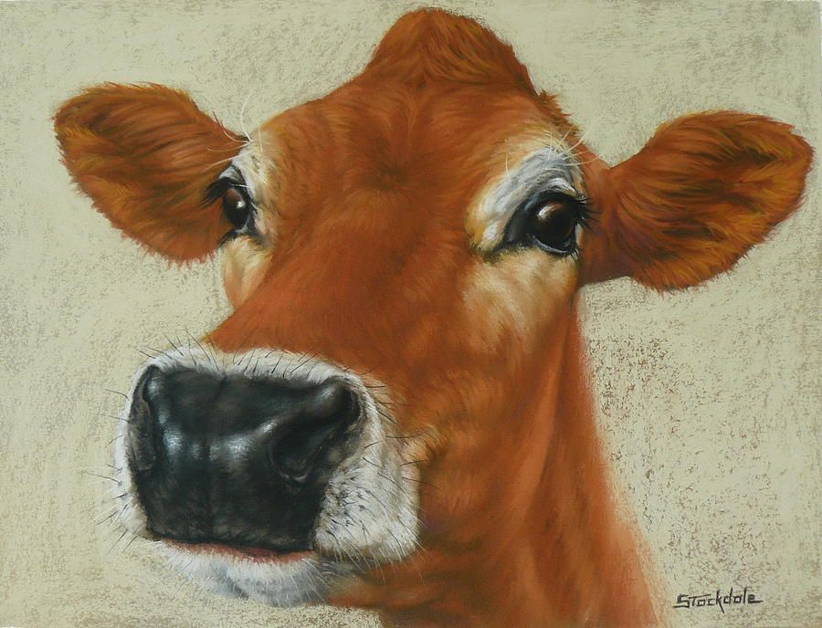 900x688 Pastel Cow Painting I Love Cows Cow Painting, Cow - Pastel Cow Painting