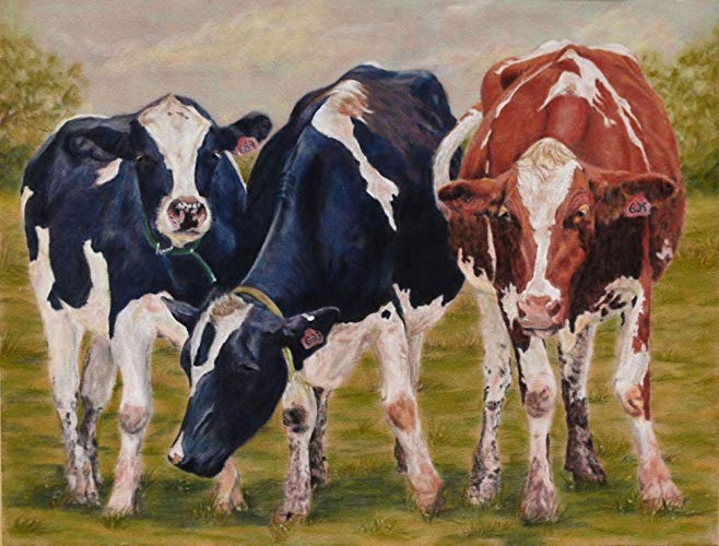 658x500 Three Amigos Original Soft Pastel Cow Painting Handmade - Pastel Cow Painting