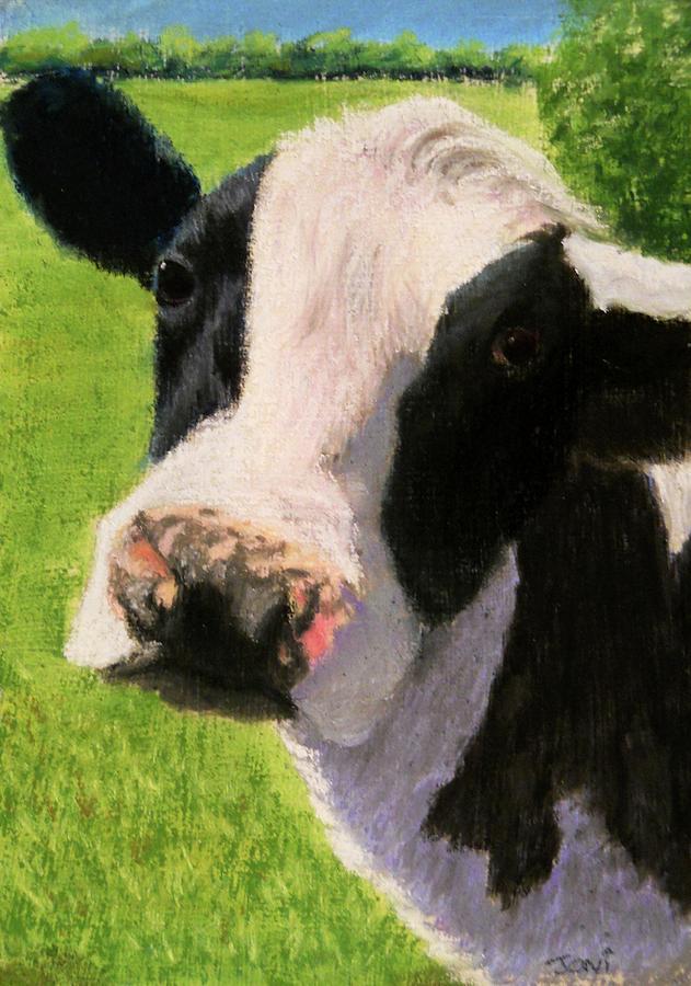 631x900 You Looking At Me Cow Painting Pastel By Joan Swanson - Pastel Cow Painting